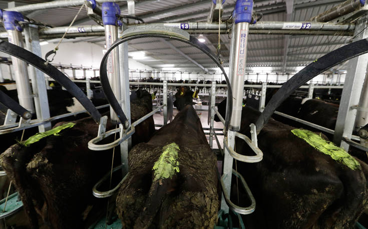 Vegan ακτιβιστές έδωσαν στη δημοσιότητα τα στοιχεία 9.000 κτηνοτρόφων καλώντας σε&#8230; παρεμβάσεις