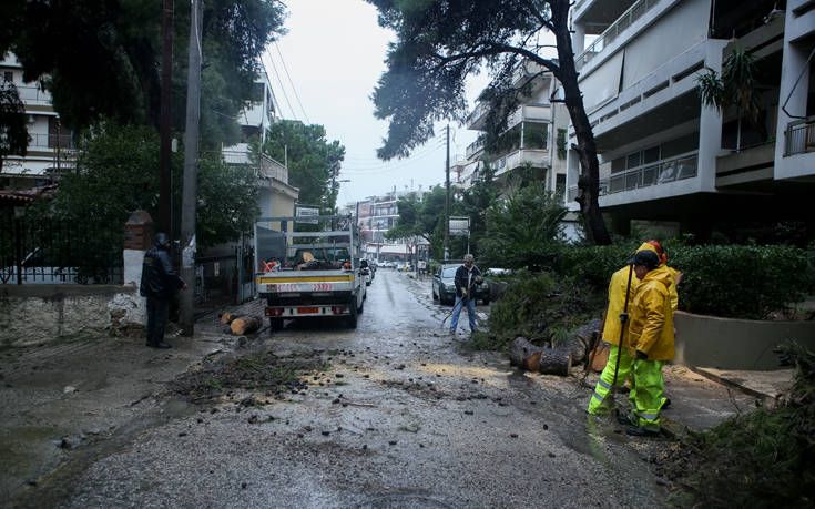 Έπεσε δέντρο στην Αγία Παρασκευή