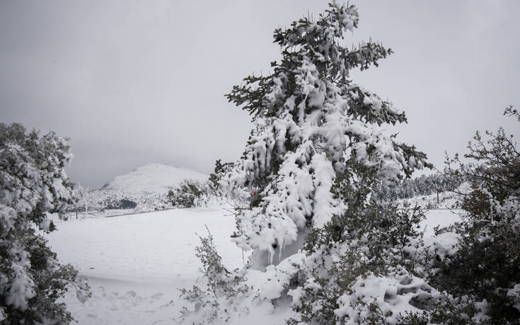 Μέχρι και 1,5 μέτρο το χιόνι στο νομό Τρικάλων