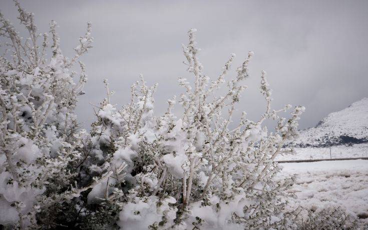 Καλλιάνος: Έρχονται χιόνια στο κέντρο της Αθήνας τη Δευτέρα