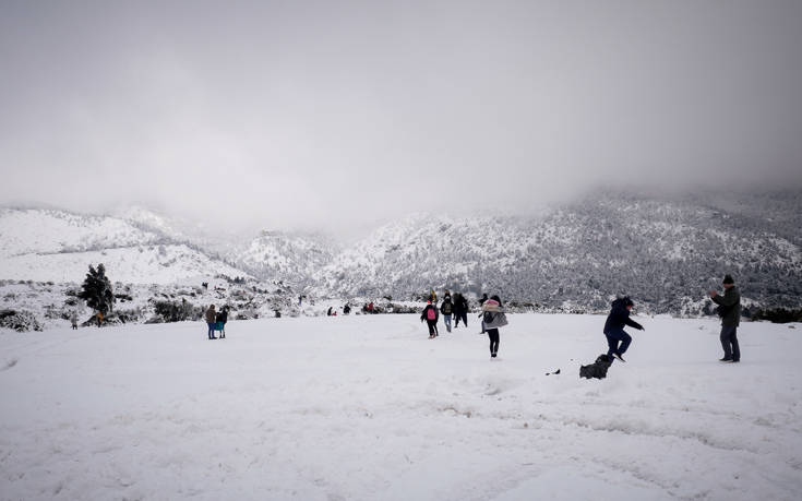 Καλύφθηκε από πυκνό χιόνι η Πάρνηθα