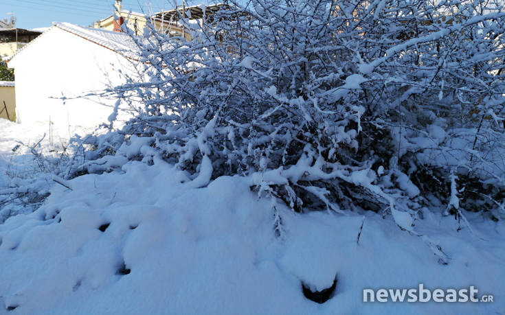 Φωτογραφίες από το χιονισμένο Μαρούσι