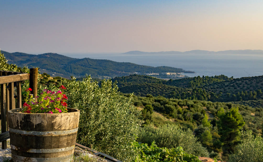 Η Χαλκιδική έχει τον δικό της Παρθενώνα