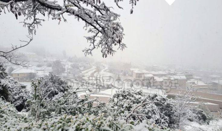 Στα λευκά η πόλη της Λαμίας