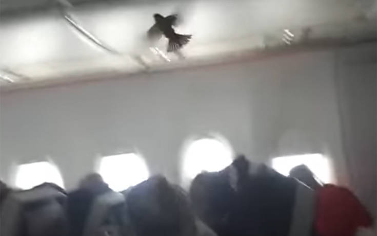 Η εισβολή σε αεροπλάνο που αναστάτωσε μια πτήση 12 ωρών