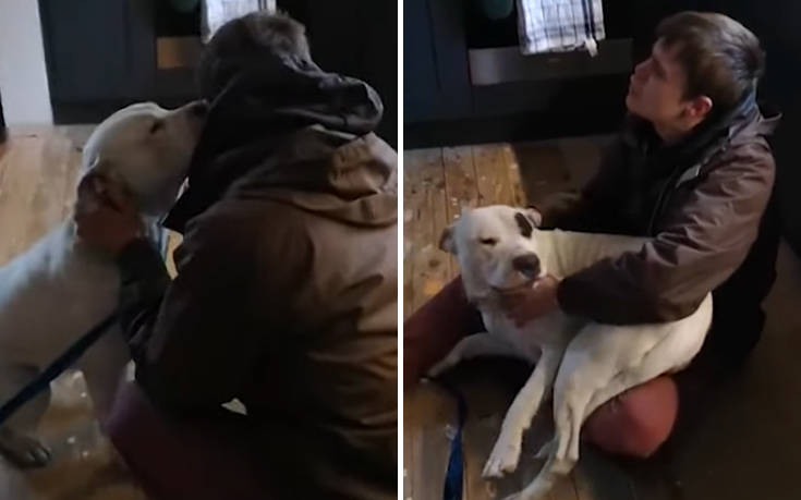 Η συγκινητική στιγμή που ένας άστεγος επανασυνδέεται με τον σκύλο που είχε χάσει