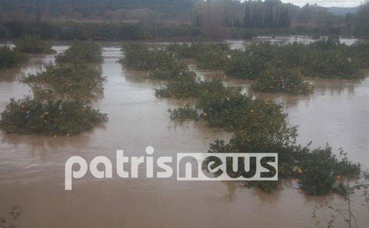 Ανησυχία για την υπερχείλιση του Αλφειού στην Ηλεία