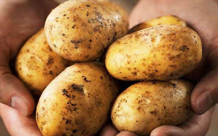 Χειροβομβίδα του Α΄Παγκοσμίου Πολέμου βρέθηκε σε φορτίο με πατάτες