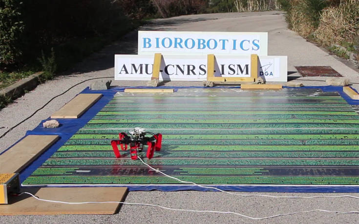 Το πρώτο ρομπότ που κινείται με… τα μάτια μυρμηγκιού