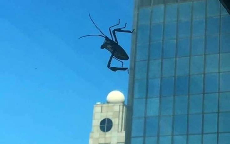 Φωτογραφίες που χρειάζονται μια δεύτερη ματιά