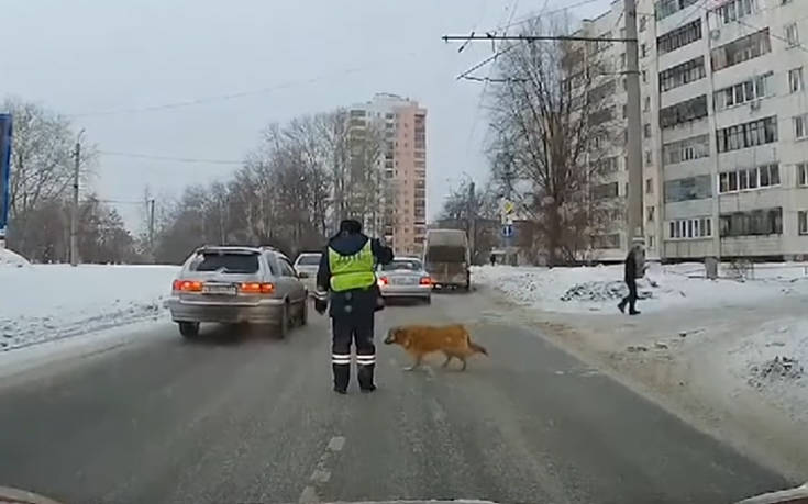 Ο αστυνομικός που σταμάτησε την κυκλοφορία για να περάσει ένας σκύλος