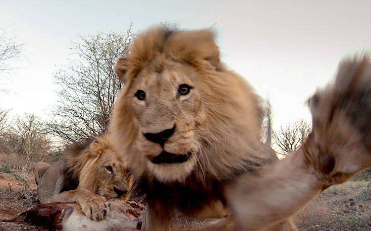 Εντυπωσιακά πλάνα και λήψεις από drones