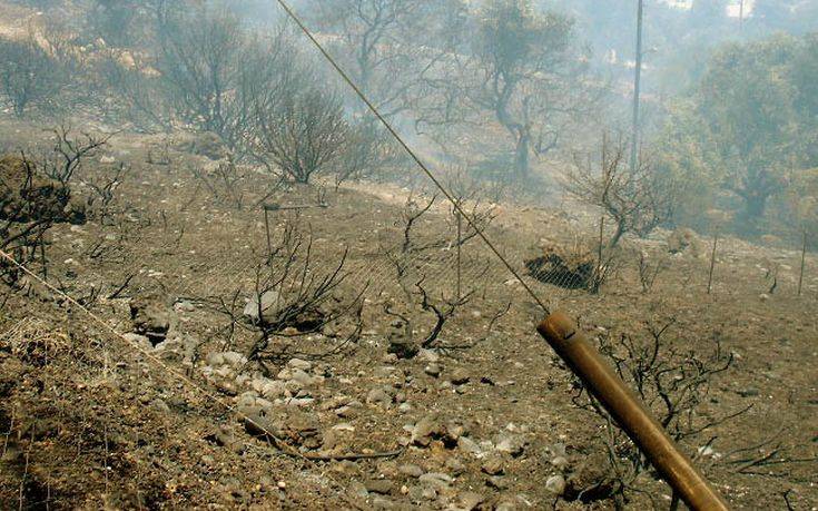 Στάχτη έγιναν 80 στρέμματα στην Ιεράπετρα