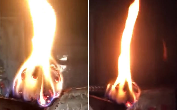 Όλοι πιστεύουν πως αυτό το κούτσουρο που καίγεται θυμίζει κάτι πάρα πολύ