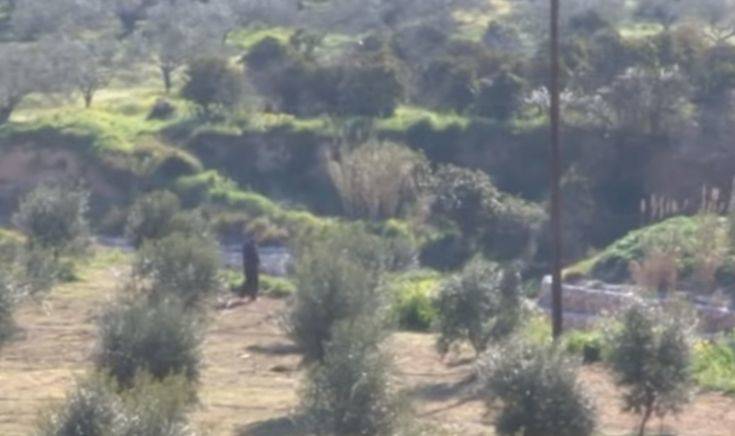 Αναβρασμός στον Σολωμό Κορινθίας, Ρομά έχουν μαζευτεί κοντά στο σπίτι του δράστη