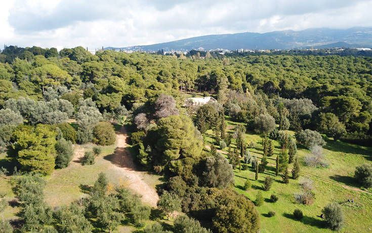 Πέντε πράσινες οάσεις για πικ νικ στην Αττική