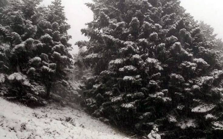 Φρέσκο χιόνι στα ορεινά της Ευρυτανίας που ντύθηκαν στα λευκά