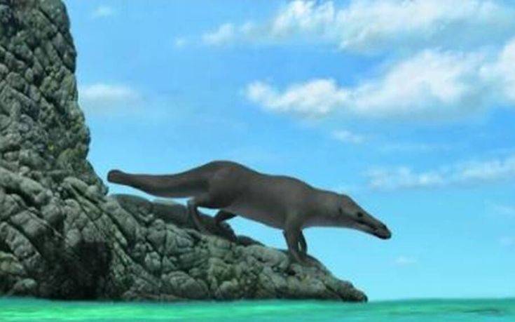 Πριν από 42,6 εκατ. χρόνια υπήρχε μια φάλαινα λίγο διαφορετική από αυτή που ξέρουμε