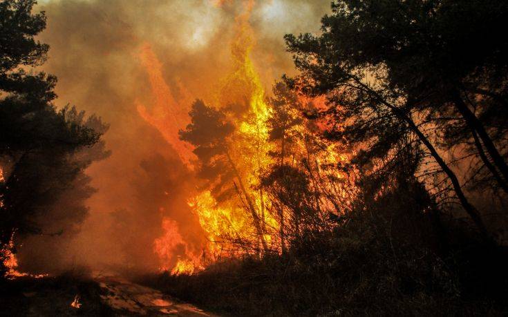 Εκτός ελέγχου η φωτιά στη Μακρακώμη – Προς δύο κατευθύνσεις το πύρινο μέτωπο