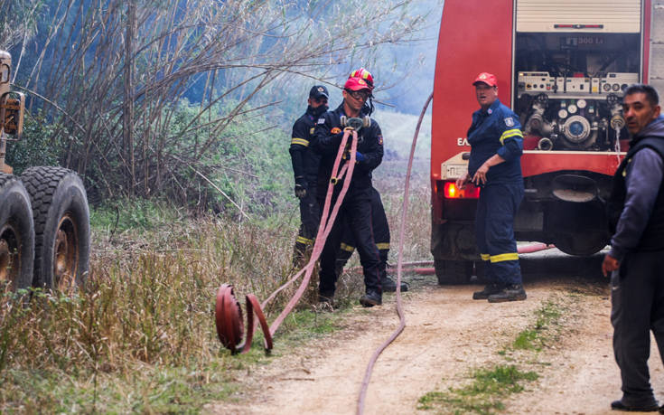 Χαλκιδική: Υπό μερικό έλεγχο η φωτιά