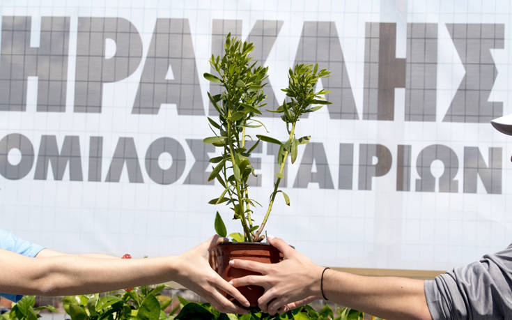 Ο όμιλος ΗΡΑΚΛΗΣ προσφέρει ανάσα ζωής και ελπίδας στο Μάτι και τον Ν. Βουτζά