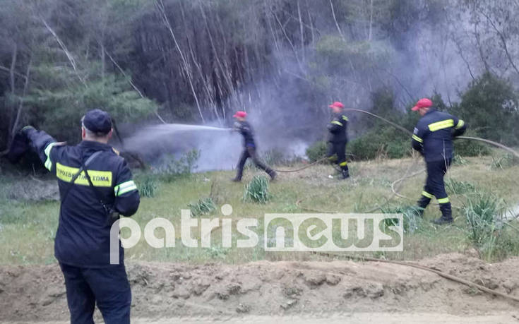 Εναέρια μέσα και ισχυρές πυροσβεστικές δυνάμεις στο δάσος της Στροφυλιάς