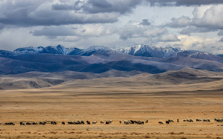 Συναγερμός στη Μογγολία μετά από δύο θανάτους από βουβωνική πανώλη