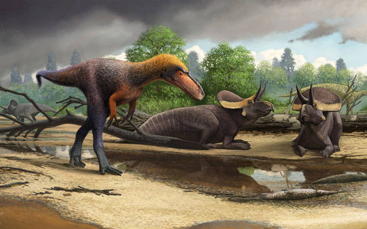 Άγνωστο είδος τυραννόσαυρου ανακαλύφθηκε στις ΗΠΑ