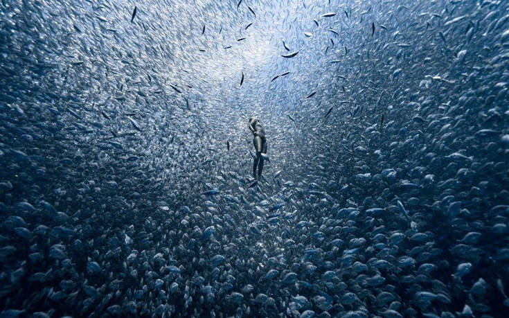 Πώς είναι να κάνεις ελεύθερη κατάδυση σε έναν στρόβιλο από ψάρια