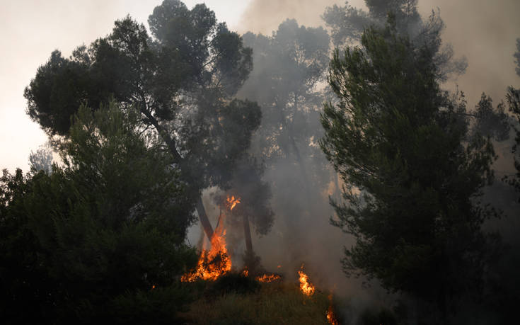 Φλέγεται το Ισραήλ, στέλνει βοήθεια η Ελλάδα