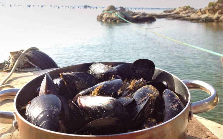 KOUZINA 2019, ύμνος στους τοπικούς και τους Θεσσαλονικείς chef