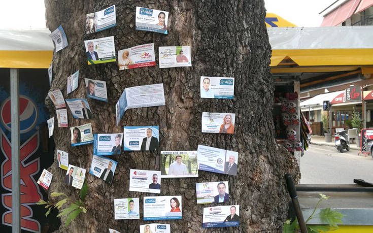 Εκλογές 2019: Ο προεκλογικός… πλάτανος στο Αγρίνιο