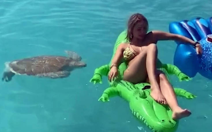 Γιατί δεν πρέπει να πειράζεις τις θαλάσσιες χελώνες