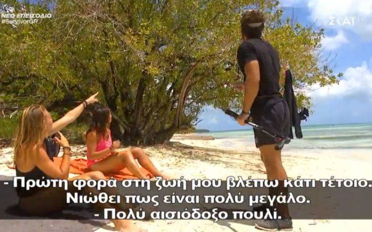 Survivor 3: Ένα πουλί επιτέθηκε στη Δαλάκα