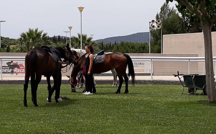Markopoulo Park: Οκτώ συναρπαστικές ιπποδρομίες, ενισχυμένο Γκανιάν και δύο Σκορ 4 Markopoulo Park: Οκτώ συναρπαστικές ιπποδρομίες, ενισχυμένο Γκανιάν και δύο Σκορ 4