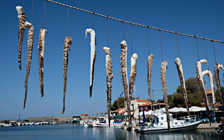 Πολιτιστικές, γαστρονομικές και αθλητικές εκδηλώσεις που ενισχύουν την εικόνα της Ελλάδας