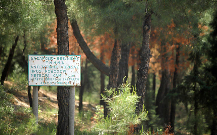 Απαγόρευση κυκλοφορίας σε Σέιχ Σου, Κασσάνδρα και Σιθωνία, λόγω πολύ υψηλού κινδύνου εκδήλωσης πυρκαγιάς