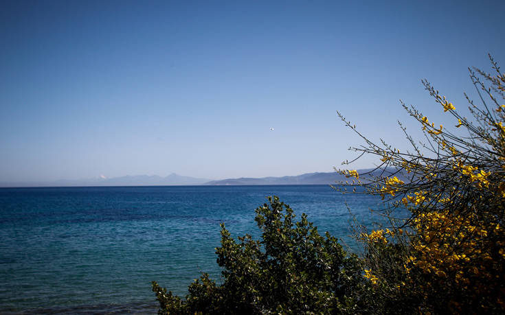 Παγκόσμια Ημέρα Περιβάλλοντος: Ανάγκη να μπει η κλιματική αλλαγή στην πολιτική ατζέντα