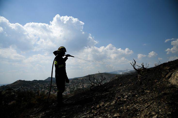 Ζάκυνθος: Σε ύφεση η φωτιά που ξέσπασε σε δασική έκταση στα Λαγκαδάκια