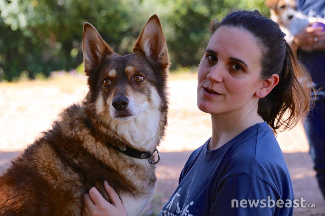 Ζερόμ, ο σκύλος – ηθοποιός με δική του καριέρα στην μεγάλη οθόνη – Newsbeast