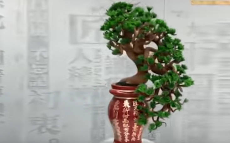 Ένα μπονσάι από σοκολάτα