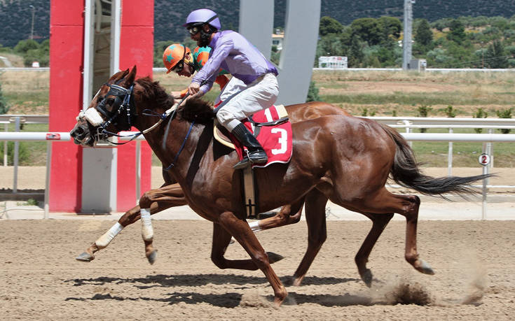 Markopoulo Park: Μοναδικό θέαμα με εντυπωσιακά photo finish