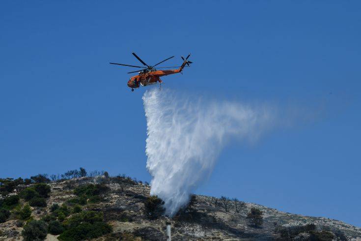 Υπό μερικό έλεγχο η φωτιά στη Βραυρώνα Αττικής