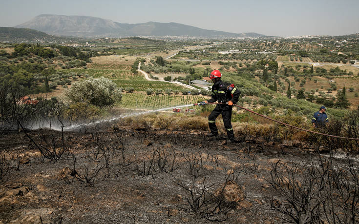 Φωτιά ξέσπασε στον δήμο Μαραθώνα