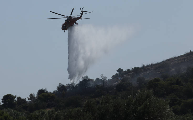 Υπό μερικό έλεγχο η πυρκαγιά στην Κερατέα