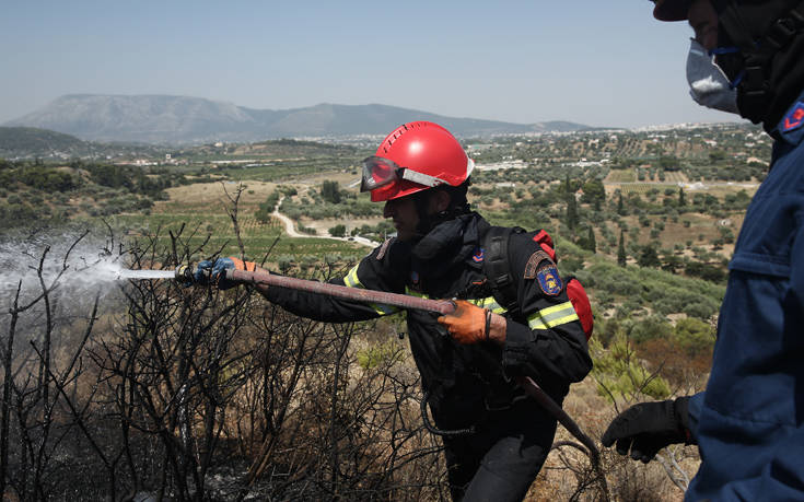 Φωτιά στο Πευκί Ευβοίας