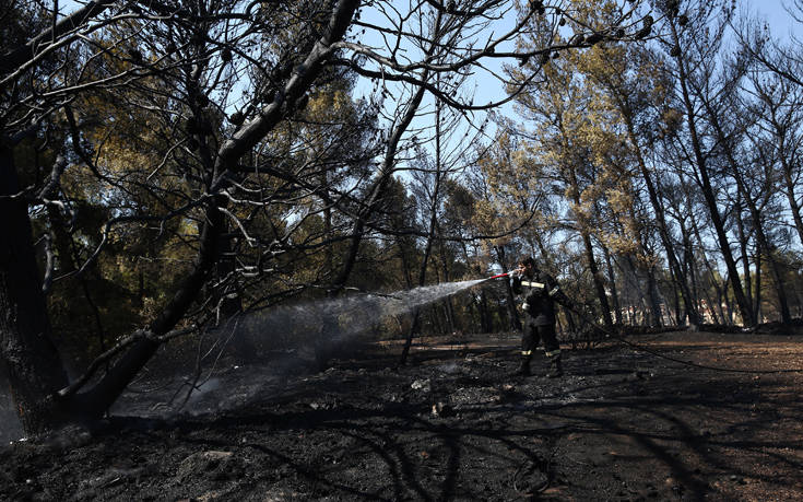 Πολύ υψηλός κίνδυνος πυρκαγιάς την Κυριακή σε Αττική και Εύβοια