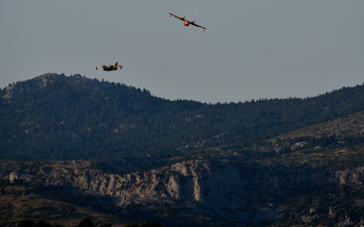 Πυρκαγιά στην Εύβοια: Συνελήφθη 64χρονος, είχε ανάψει φωτιά έξω από το σπίτι του