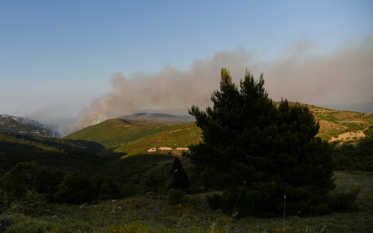 Φωτιά στη Μεγαλόπολη: Δεν απειλούνται κατοικημένες περιοχές
