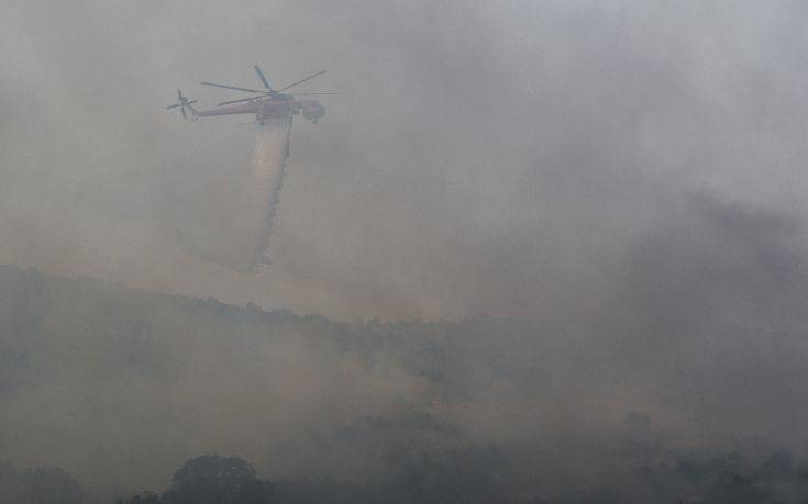 Φωτιά στην Εύβοια: Μάχη όλη τη νύχτα με τις φλόγες